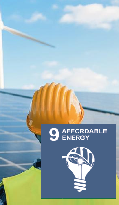 Goal 9